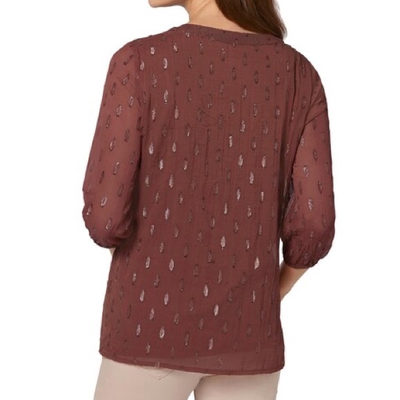 Ambria Shimmery Rust Blouse - Picture 2 of 14